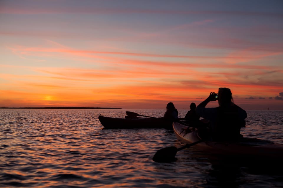 Sunset Dolphin & Bioluminescent Comb Jelly Tour Florida - Tour Overview and Pricing