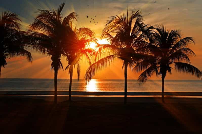 Sunset Glide to Magic Island Segway Tour - Key Points