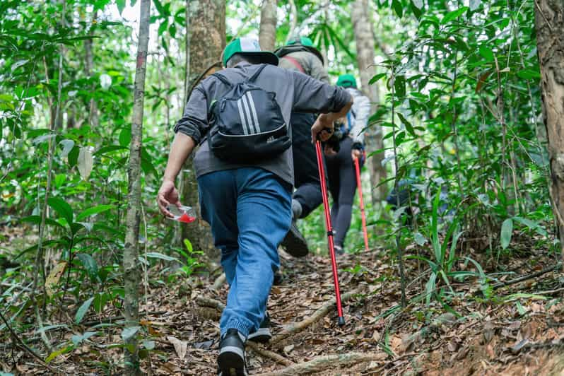 Suoi Tien 1-Day Trekking: Phu Quoc Excursion - Key Points