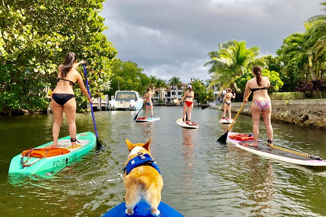 SUP PUP Paddleboard Tour - Key Points