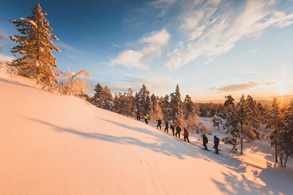 Surprise: Forest Hike With Snowshoes and Campfire Snacks - Key Points