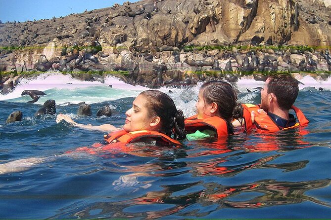 Swimming With Sea Lions in Islas Palomino Lima - Good To Know