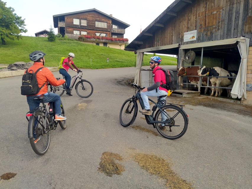 Swiss Army Knife Valley Bike Tour and Lake Lucerne Cruise - Good To Know