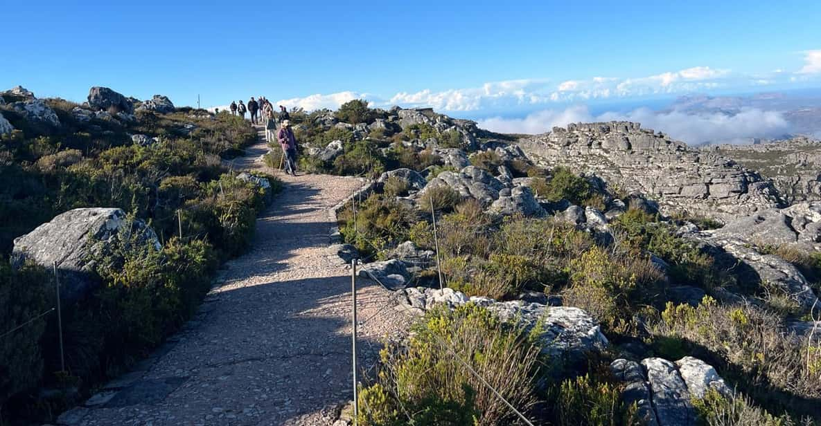 Table Mountain and Constantia Wine Tasting Private Tour - Good To Know