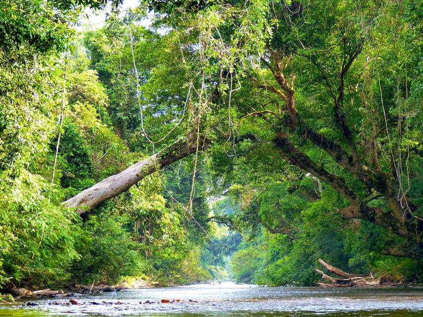 Taman Negara :Oldest Rainforest Park Guided Tour - Key Points