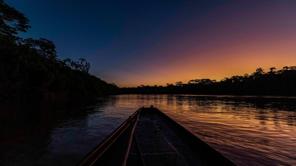 Tambopata: Search for Caimans in the Amazon | Night Tour | - Key Points