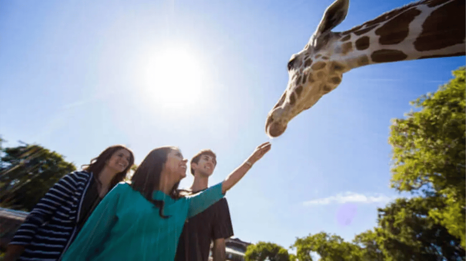 Tampa Bay: Serengeti Safari Tour - Booking Information