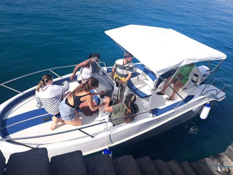 Taormina Dolphin Tour - Key Points