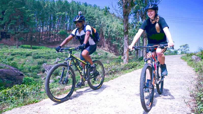 Tea Fields by Bicycle From Kandy - Good To Know