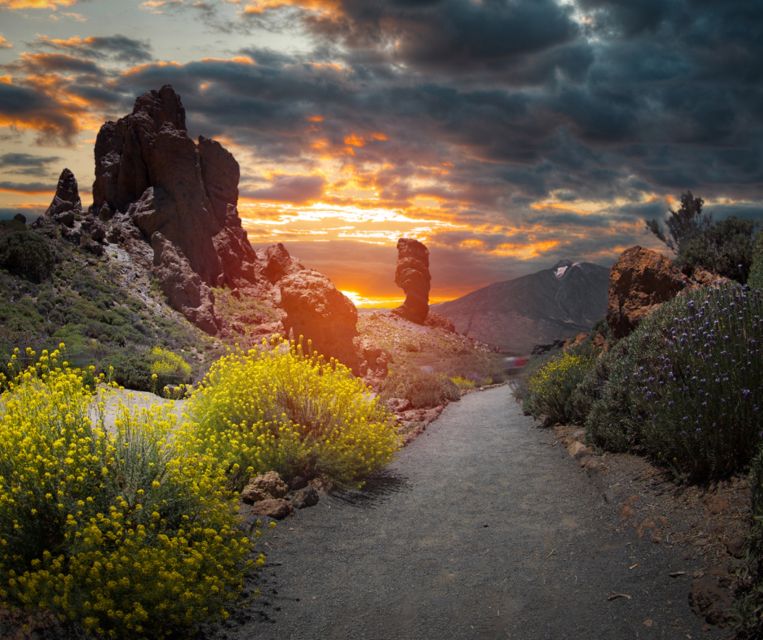 Teide National Park: Landscapes and Viewpoints Private Tour - Tour Overview and Pricing