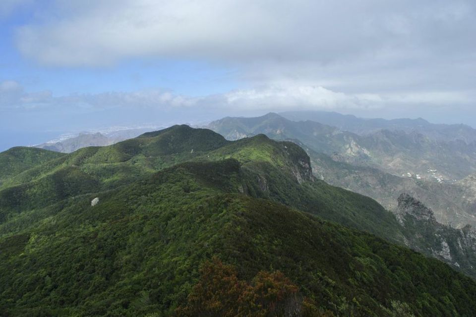 Tenerife: Anaga UNESCO VIP TOUR - Key Points