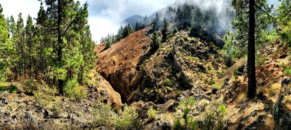 Tenerife: Barranco De Los Arcos - Canyoning in Tenerife - Key Points