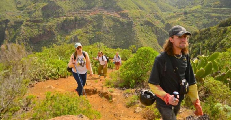 Tenerife: Hiking Tour in Anaga Mountains and Laurel Forest - Key Points
