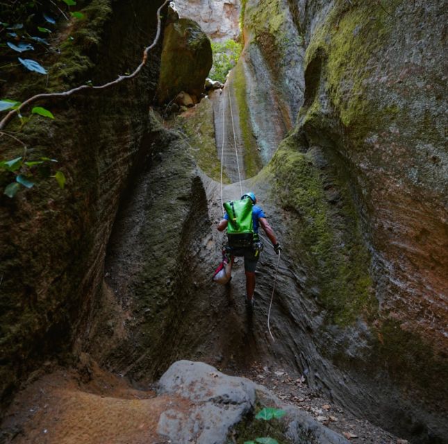 Tenerife: Los Arcos Canyoning Tour With Guide - Key Points