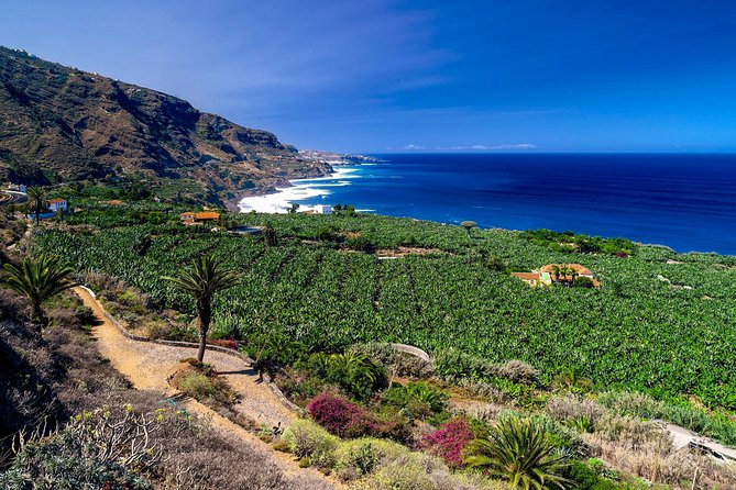 Tenerife North Private Tour: Through Villages and Ports - Good To Know