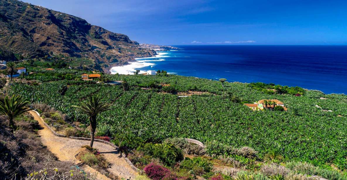 Tenerife Private Tour: Full-Day Historic North - Key Points