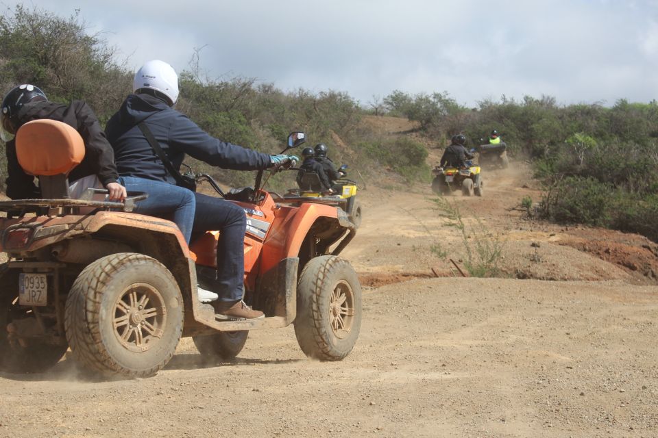 Tenerife: Quad Bike Off-Road Adventure - Key Points