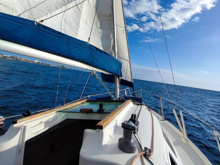 Tenerife: Sailing Experience With Snacks and Drinks - Key Points