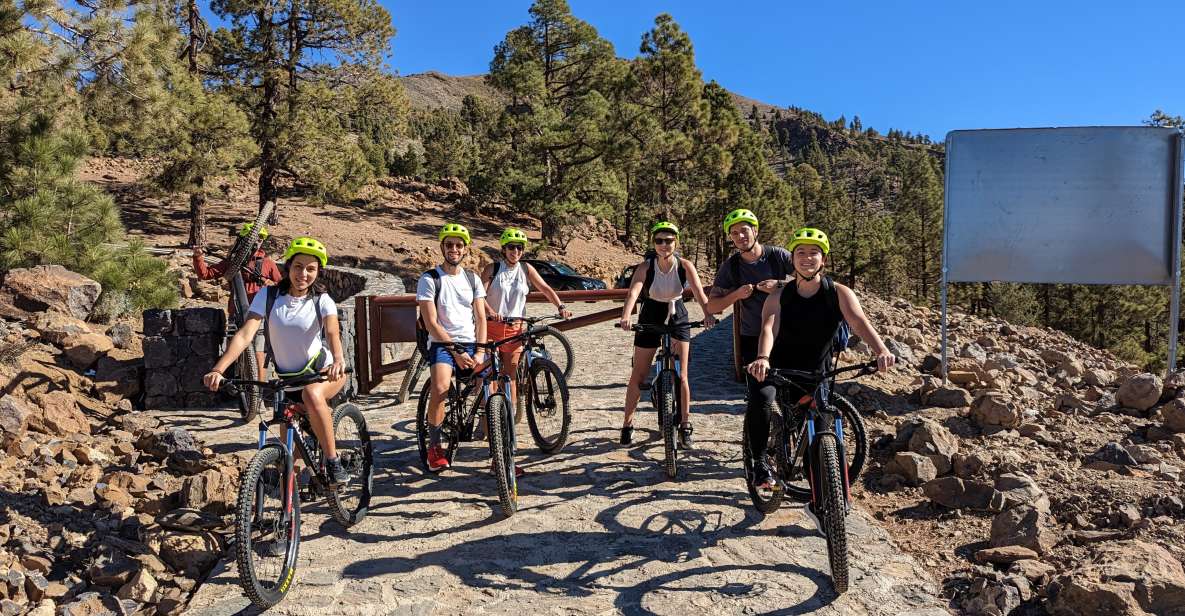 Tenerife: Scenic Biking Tour With Wine and Cheese - Key Points