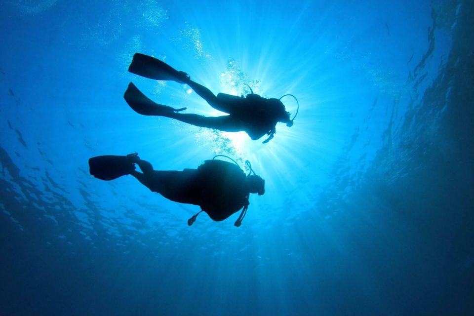 Tenerife: Scuba Diving Experience With Instructor and Gear - Key Points