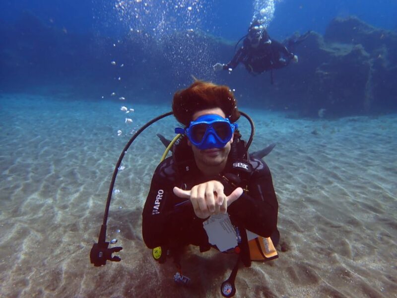 Tenerife: Scuba Diving Lesson and Abades Protected Area Dive - Key Points