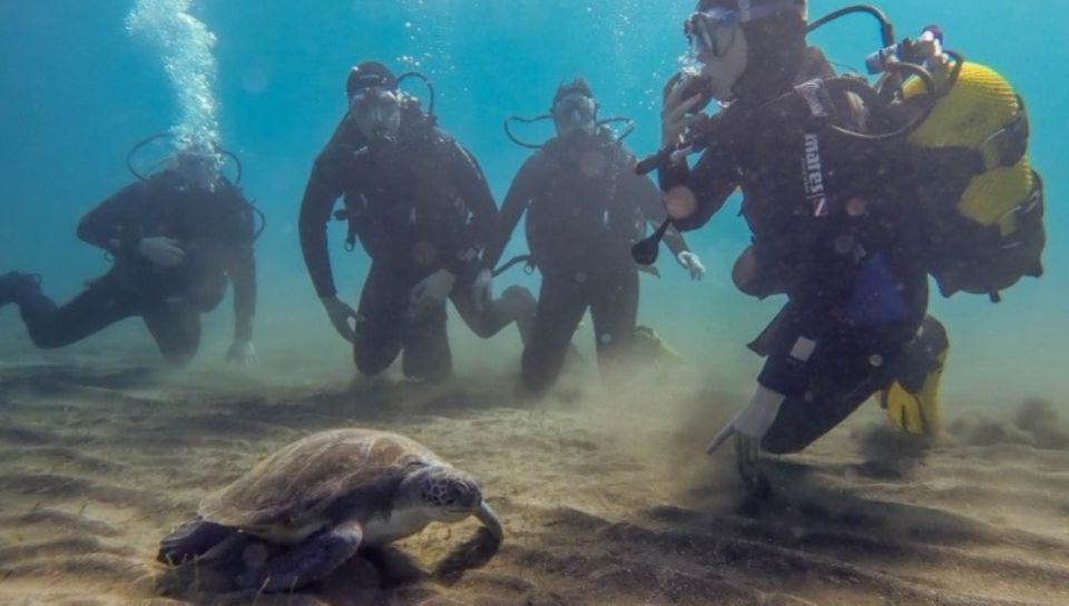 Tenerife: SSI Advanced Adventurer Diving Course - Key Points