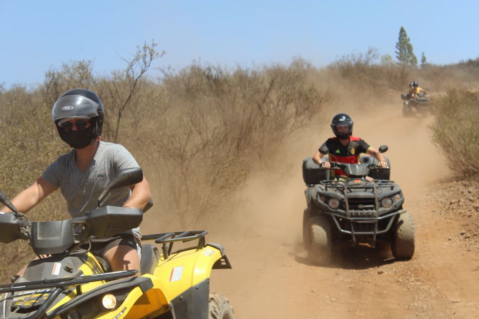 Tenerife: Teide National Park Quad Bike Tour - Key Points