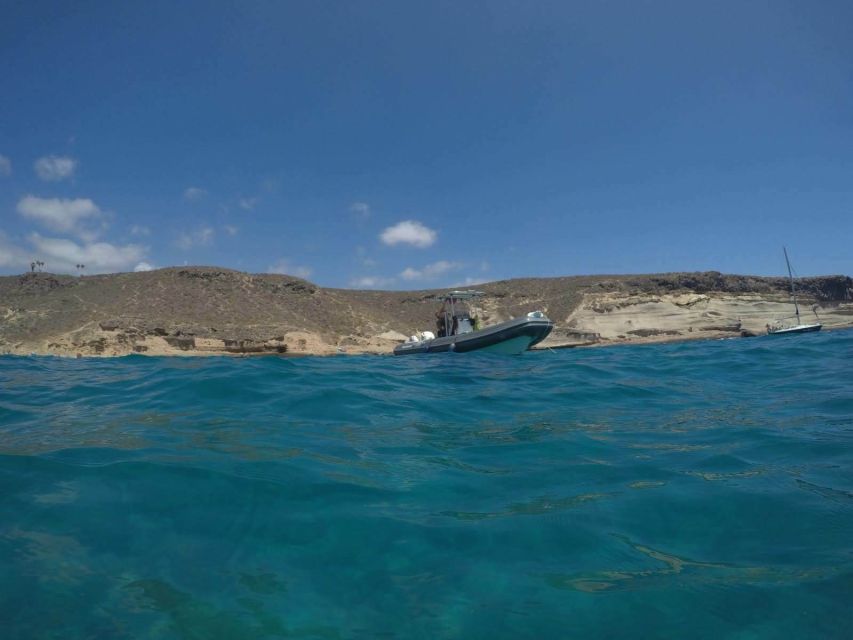 Tenerife: Underwater Lava Tongues Snorkel Excursion - Key Points