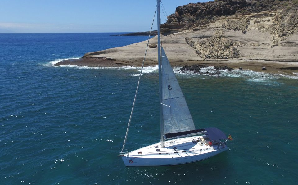 Tenerife: Whale and Dolphin Watching Tour by Sailboat - Key Points