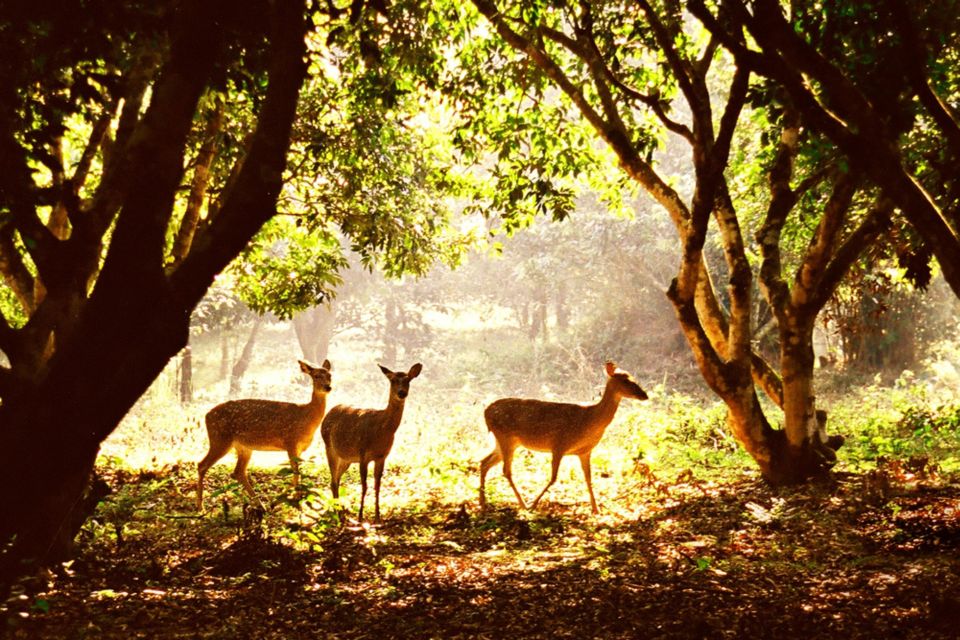 The Best Easy Trek Cuc Phuong National Park - Key Points