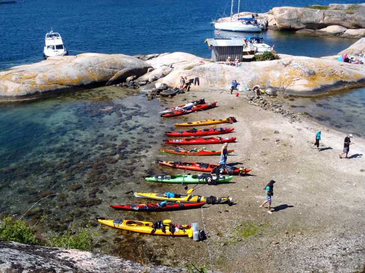 The Lunch Trip Sea Kayak Tour - Key Points