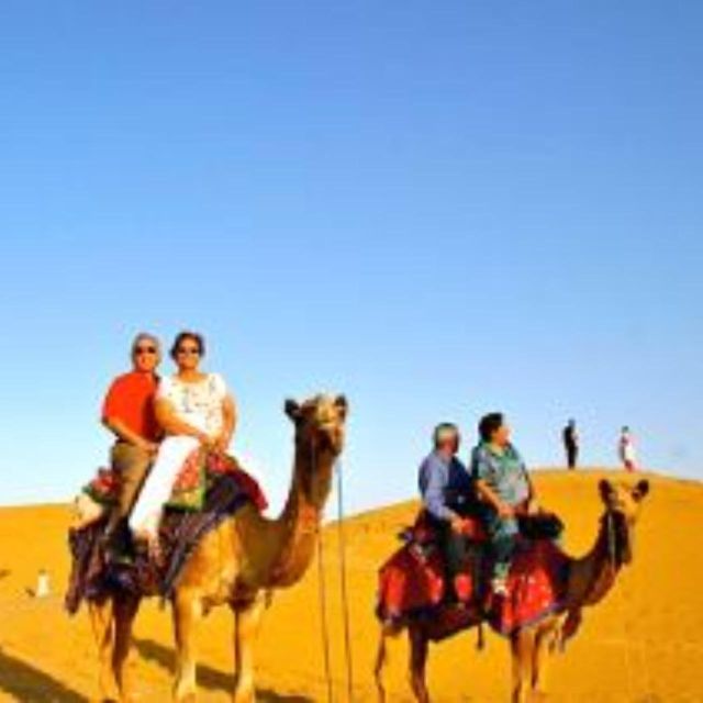 The Real Jodhpur Camel Safari In Desert Wita Marwadi Dinner - Key Points