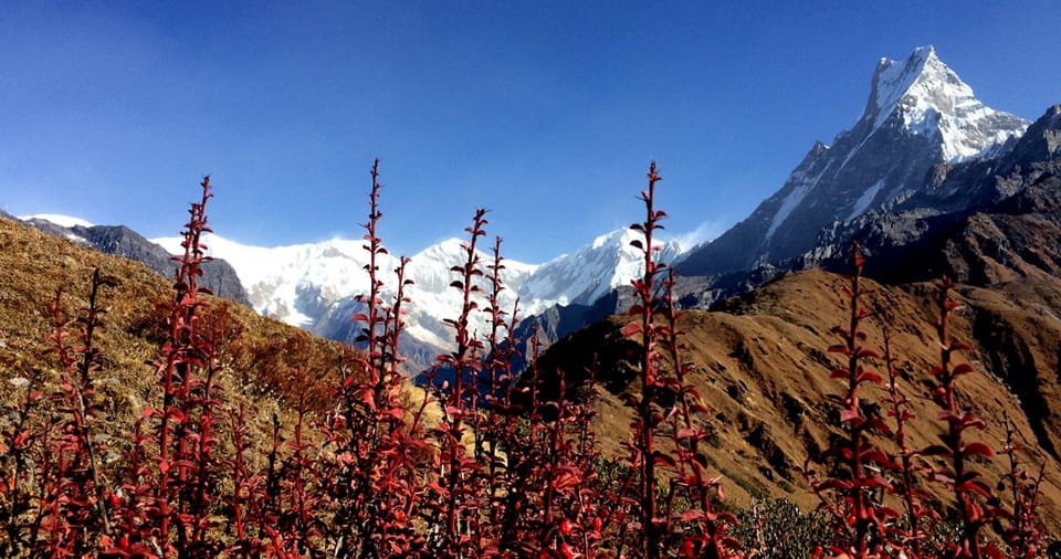 The Stunning Himalayan Landscape Provides Awe Inspiring View - Key Points