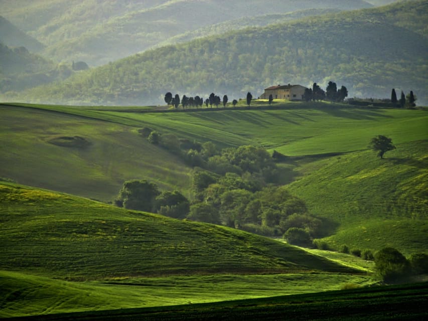 The Tuscan Lavender Field - Key Points