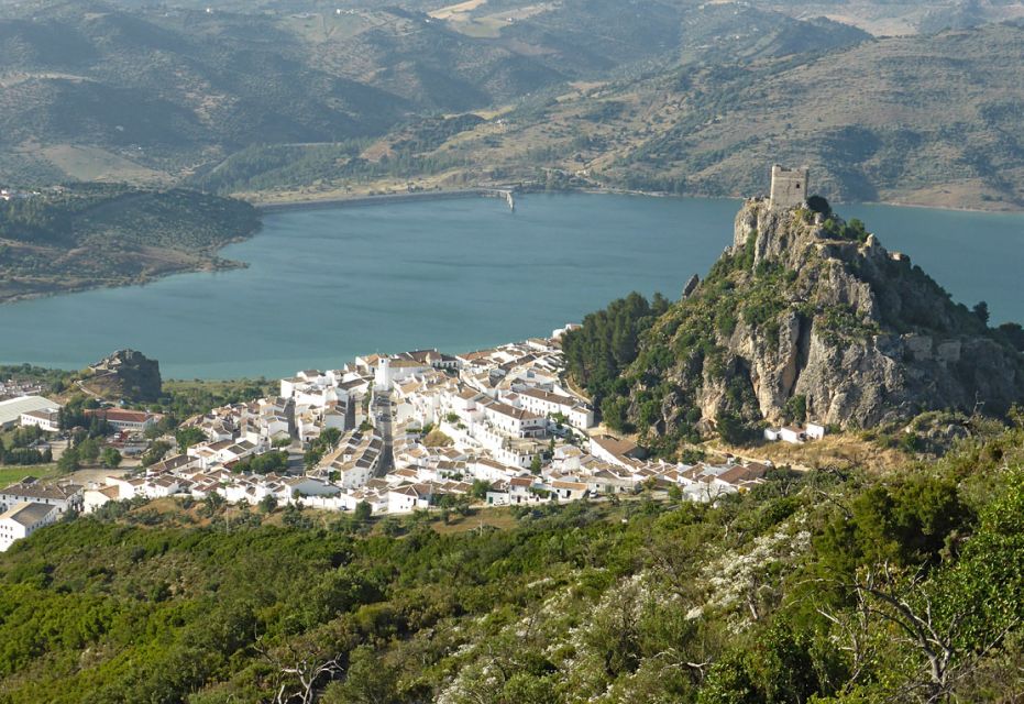 The White Towns of Andalusia: Private Day Trip From Cádiz - Key Points