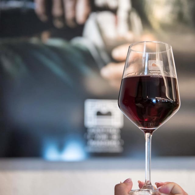 The Wines of Maremma, the Grape Varieties of Maremma Tuscany - Key Points