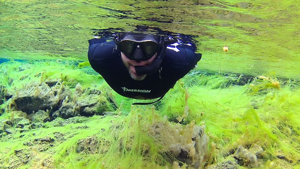 Thingvellir: Silfra Freedive Adevnture With a Guide - Key Points