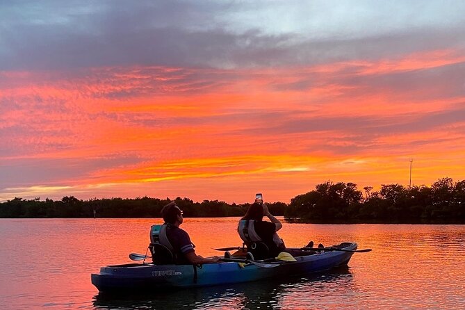 Thousand Islands Mangrove Tunnel & Bio Comb Jelly Sunset Tour - Key Points