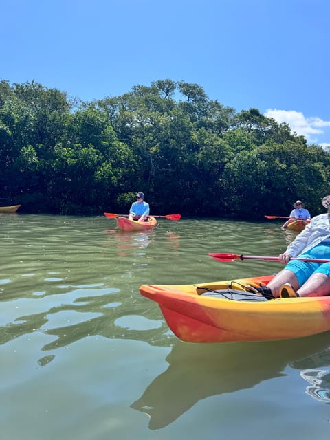 Tierra Verde: Shell Key Mangrove Private Guided 1.5 Hr Tour - Key Points