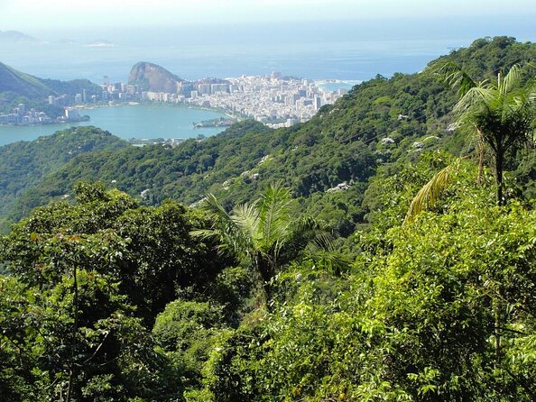 Tijuca National Park and Botanic Garden Guided Tour & Transfer - Good To Know