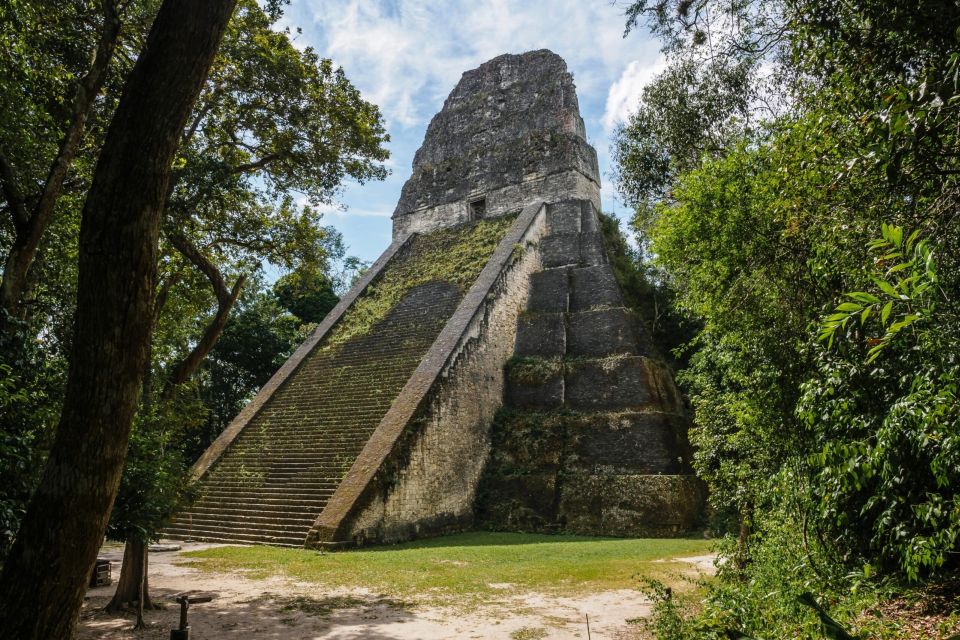 Tikal Experience: Exclusive Tour - Key Points