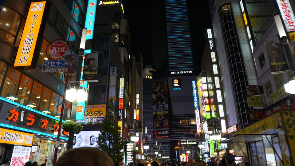 Tokyo After Dark: The Ultimate Shinjuku Local Bar&Food Tour - Tour Overview