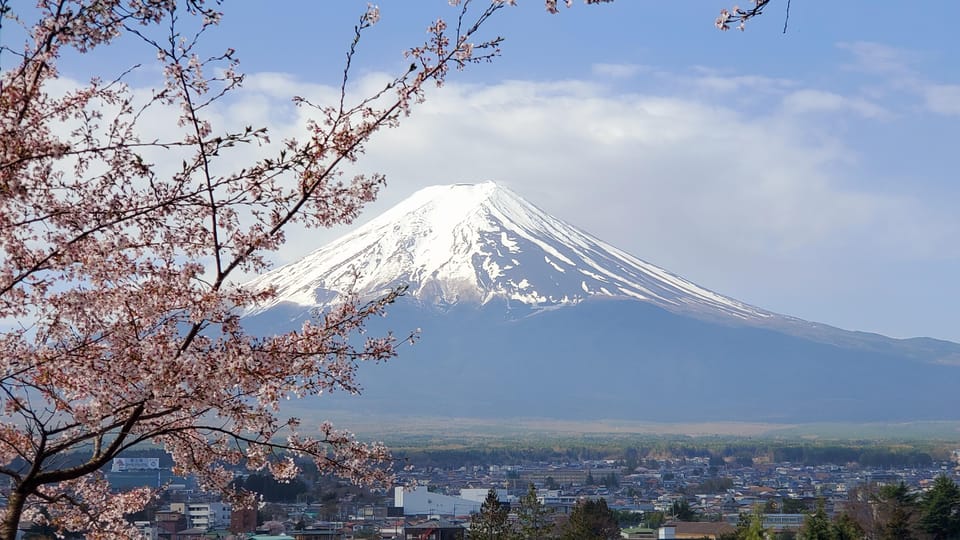 Tokyo and Mt. Fuji + Hakone 2-Days Private Tour - Key Points