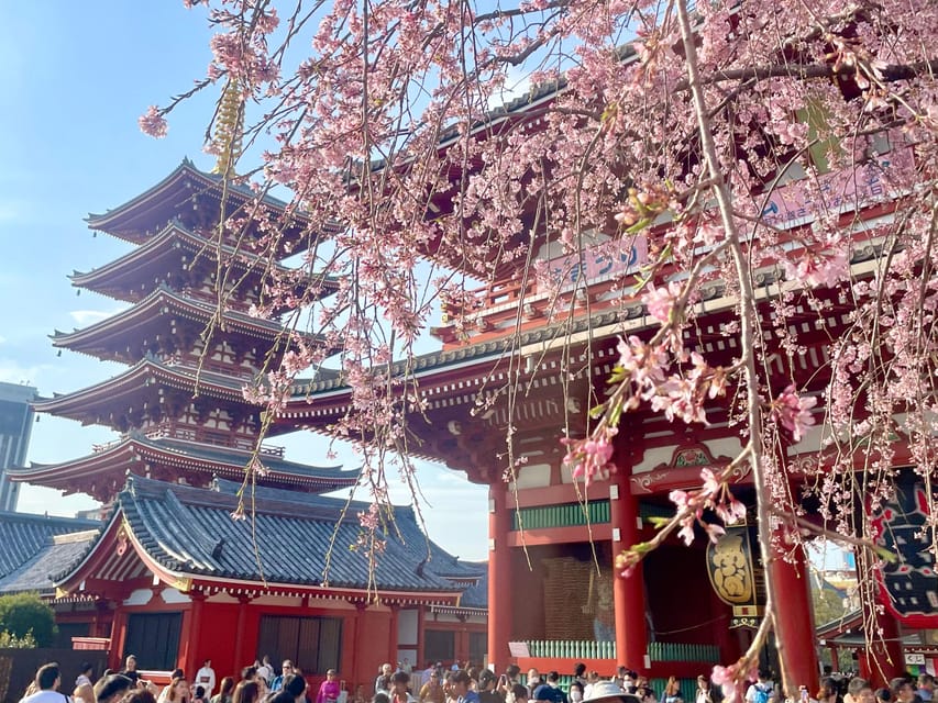 Tokyo : Asakusa Sensoji Temple Walking Tour Experience - Key Points