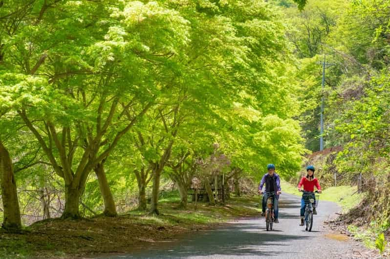 Tokyo: Escape the City to a Cultural Cycle in the Mountains. - Overview of the Cycling Tour