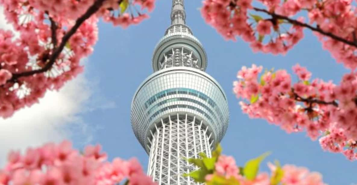 Tokyo: Full Day Tokyo City Private Tour Must Seeing Places - Itinerary Breakdown