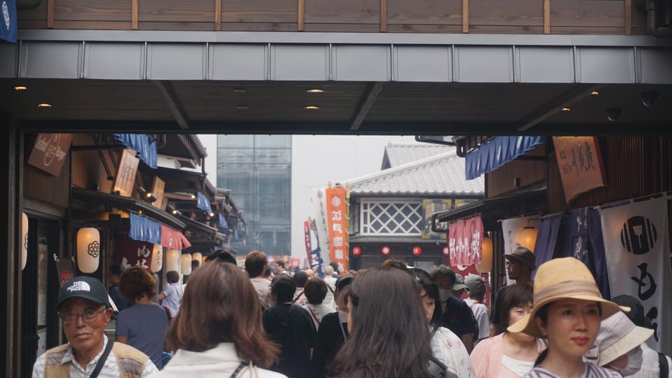 Tokyo: Historic Street Food and New Fish Market Tour - Overview of the Tour