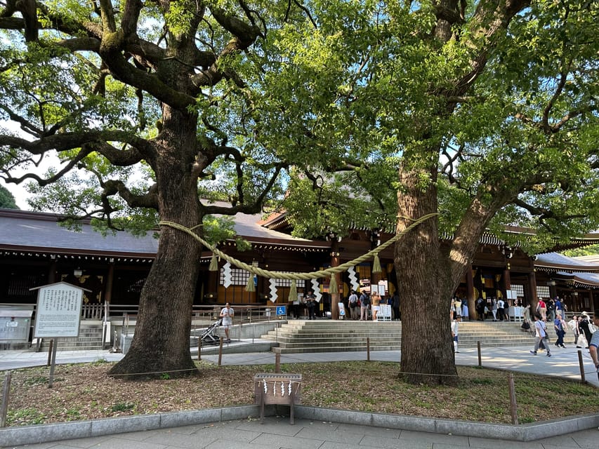 Tokyo: Meiji Jingu Shrine Historical Walking Tour - Key Points