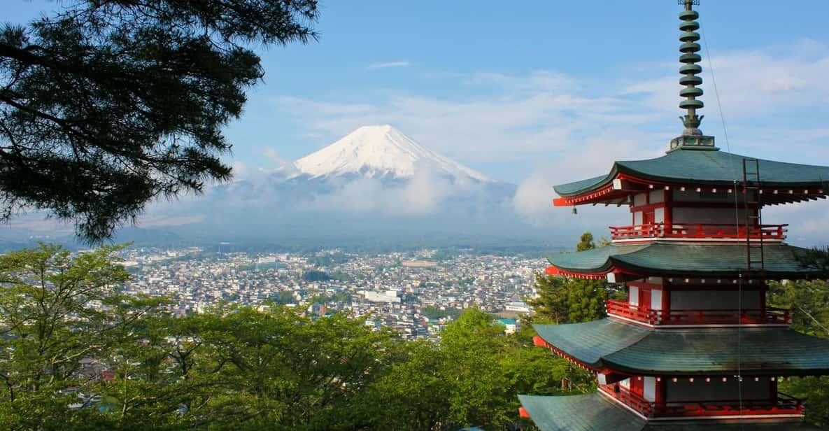 Tokyo: Mount Fuji & Hakone Customized English Guided Trip - Tour Overview and Pricing