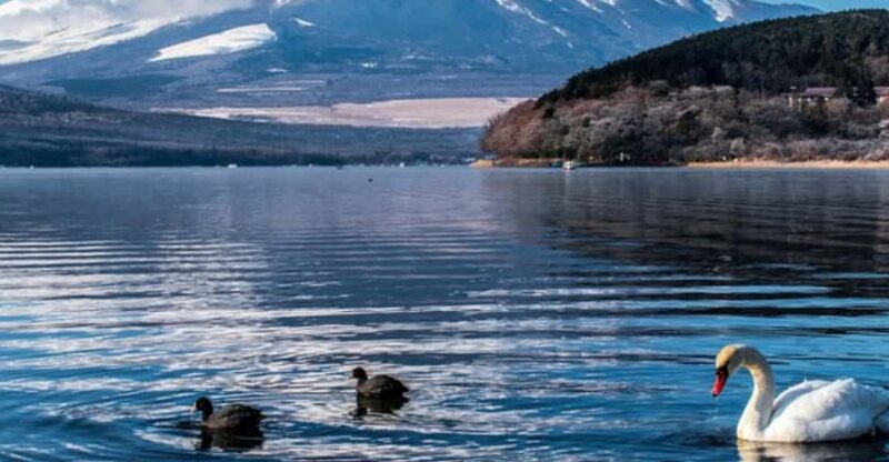 Tokyo: Mount Fuji & Hakone Tour By English Speaking Guide - Inclusions and Exclusions